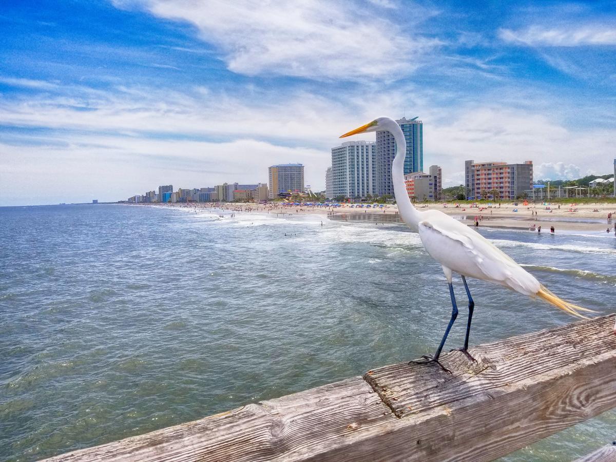 New Amazing Corneramazing Views Honeymoon Suite! Myrtle Beach Ngoại thất bức ảnh